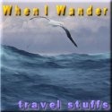 When I Wander : When i wander