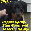 Pepper Spray, Stun Guns, and Tasers... Oh My! : 
