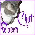 Queen Chat : Queen Chat, queen cat, Cat, Pet, animal, kitty, kitten, animal lover