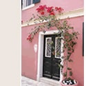 Online business 101 : website promotion, blog promotion