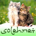 Soleh.Net by ImamKhalid : Finding the right path to follow