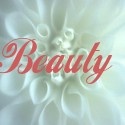 Beauty is Everlasting : health, travel, parenting, baby, blogging, etc
