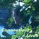 Connecticut Lives : 