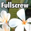 Fullscrew : See the world with me......