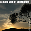 Popular Muslim Baby Names : muslim baby names
