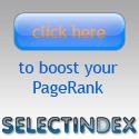 SelectIndex : 