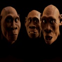 funny videos : 