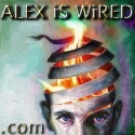ALEX iS WiRED : Am i conected yet?