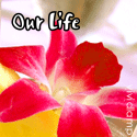 My Life & Your World : Anything's Possible