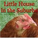Little House In the Suburbs : two friends, two little houses, lots of harebrained homestead-y projects