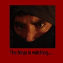 Steve Smit - Novice Blogging Ninja : My Goal? Become a Blogging Ninja Master!