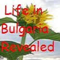 Bulgarian Slivatree - An Expatriate's Eye In Bulgaria : bulgaria, bulgarian, expatriate, british, brit, expat, trravel,