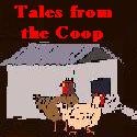 Tales From The Coop : Where Chicks Rule and Poop Drools