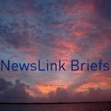 NewsLink Briefs : Don't Leave Home Without Your Briefs 
