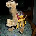 Kamila the Camel : kamila, camel bulgaria, egypt,