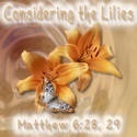 Considering the Lilies : Matthew 6:28,29