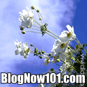 BlogNow101 : relationship,money matters,lyrics,lifestyle