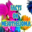Facts on Mesothelioma : 