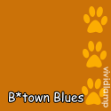 B*town Blues : city girl goes country