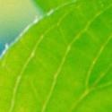 Statistically Speaking  : Publishing sample research, articles, theories, research, facts, and statistical services