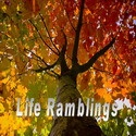 Life Ramblings : the high-spirited mom