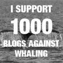 My Radical Blogs : The Radical Blogger