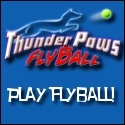 Thunder Paws Flyball : A flyball team in Salt Lake City, Utah