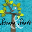 Scraps & Shots : 