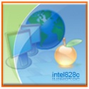 intel828c : the blogger