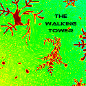 The Walking Tower : Insights,          Experiences,         Learning's