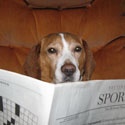 Buddy's Fitness News : One Family's Journey From Fat To Fit
