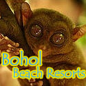 Bohol Beach Resorts Philippines : Island Paradise of Panglao, Bohol