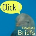 NewsLink Briefs : Don't Leave Home Without Your Briefs 