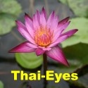 Thai-Eyes Thailandblog : thai thailand asia thaiboy thaigirl thaipop thaifood buddhism tattoo