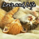 Love and Life : Love, Life, Relationship, Lifestyle, Emotion, Creative Writings