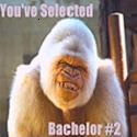 Bachelor's Area : 