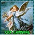 LILY LAVENDER : Making a sense of life.