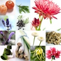 Natural Health : Guide To A Better You The Natural Way