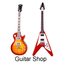 Guitar Shop Online : Guitar Shopping