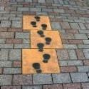 Remember When : A Walk Down Nostalgia Street