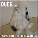 Conquer Weight Loss : 