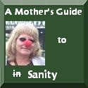 A Mother's Guide... : ...to Sanity