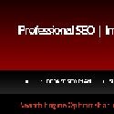 Professional SEO and Internet Marketing Blog : 