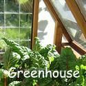 All Things Greenhouse : A-Z Greenhouse Information