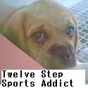 Twelve Step Sports Addict : A Sobering Opinion of the World of Sports