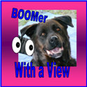 Boomer with a View : One Viewpoint of the 1950s and 1960s