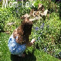 Mom Talk : By moms, for moms