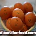 Dandelion Food : 