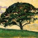 Under The WordPress Tree : WordPress Support and Services