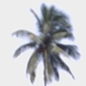Cities in Goa : goan cities